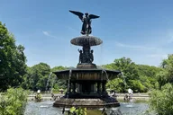 New York Central Park Horse Carriage Ride thumbnail 5