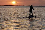 Oak Hill Bioluminescence Paddle Tour thumbnail 5
