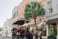 Charleston Historical Horse-drawn Carriage Tour thumbnail 1
