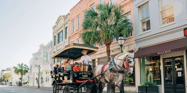 Charleston Historical Horse-drawn Carriage Tour - Image 1