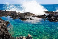 Honolulu Hawaiian Culture Tour thumbnail 2