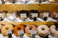 Cambridge Donut Walking Tour in Harvard Square thumbnail 3