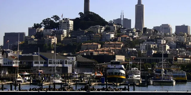San Francisco City Bus Tour and Bay Cruise - Image 2