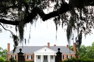Charleston Historic District & Plantation Private Tour thumbnail 4