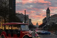Washington DC Monuments Cherry Blossom Tour 2 hr thumbnail 6