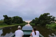 New Orleans Swamp Eco Tour with Local Guide 2 hr thumbnail 2