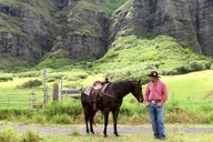Kaneohe Horseback Riding Tour thumbnail 3