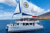 Maui Snorkel Tour to Coral Gardens 3.5 hr thumbnail 4