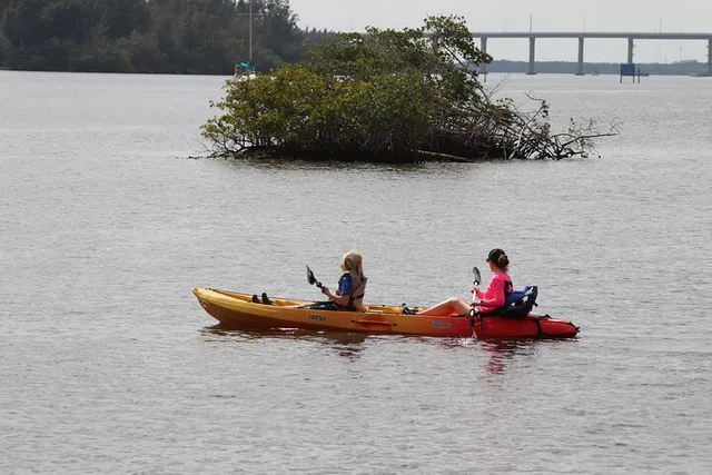 Vero Beach Kayak and Paddle Board Tour - Image 6