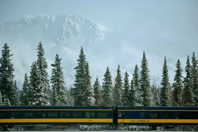 Anchorage to Denali Train Journey - Image 6
