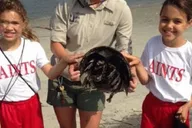 Charleston Nature Boat Tour with Naturalist thumbnail 4