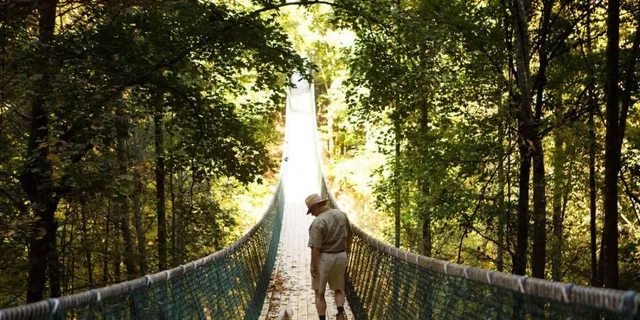 Sevierville Hiking & Swinging Bridge Adventure - Image 1