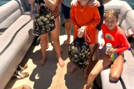 Crystal River Scalloping Tour thumbnail 3