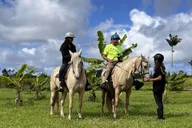 Pāhoa Rainforest Trail Ride thumbnail 3