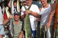 Fort Lauderdale Deep Sea Drift Fishing Trip 4 hr thumbnail 5