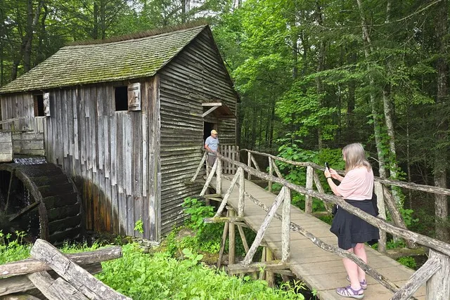 Sevierville Cades Cove and Foothills Parkway Tour - Image 6
