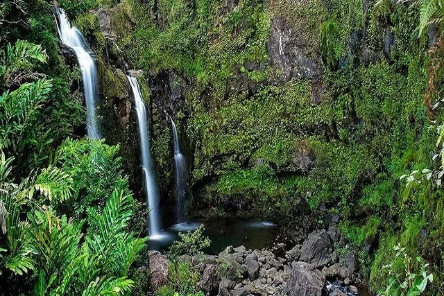 Oahu Circle Island Tour from Kauai - Image 2