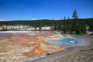 West Yellowstone National Park Private Tour thumbnail 4
