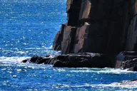 Bar Harbor Acadia National Park Private Tour with Lobster Lunch thumbnail 5