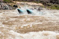 Grand Canyon Whitewater Rafting Tour 17 hr thumbnail 3