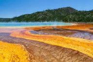 Cody Yellowstone National Park Day Tour thumbnail 1