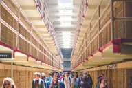 San Francisco City Tour & Alcatraz Experience thumbnail 6