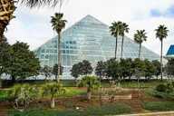 Galveston Island Coastal Adventure thumbnail 2