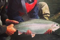 Kenai River Fishing Trip thumbnail 1