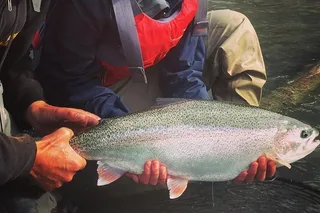 Kenai River Fishing Trip