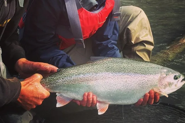 Kenai River Fishing Trip - Image 1