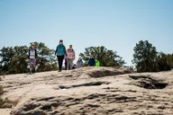 Zion National Park Petroglyphs and Dino Tracks Tour thumbnail 4