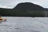 Ketchikan Kayak Eco-Tour in Clover Pass thumbnail 5