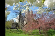 New York Central Park Rickshaw and Boat Tour thumbnail 4