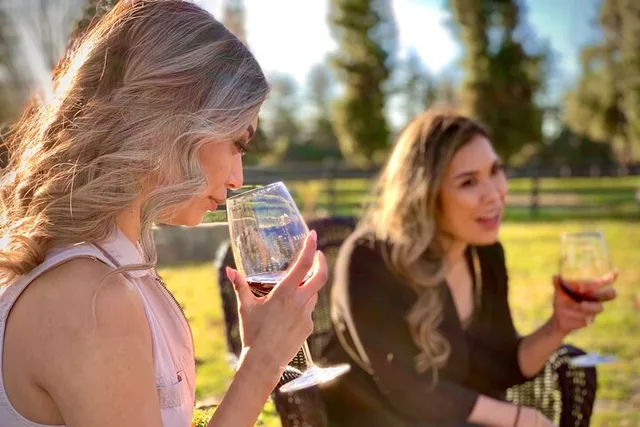 Santa Barbara Wine Tasting Tour - Image 2