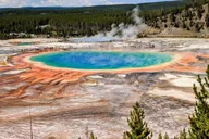 Yellowstone Private Lower Loop Tour with Lunch thumbnail 1