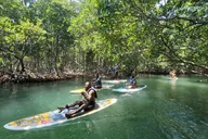 Miami Stand Up Paddle Boarding Experience thumbnail 4
