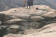 Tucson Bio Zone Mountain Tour thumbnail 1