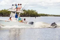 Marco Island Sunset Cruise Private 2 Hr thumbnail 3