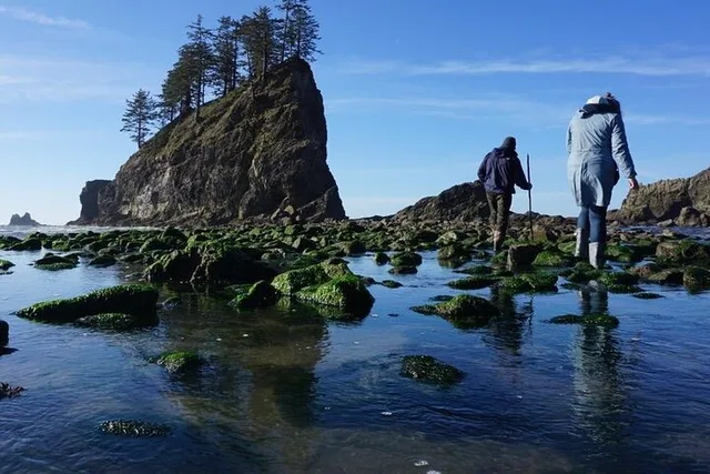 Olympic Peninsula Scenic Tour - Image 1