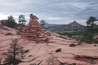 Zion National Park Kolob Terrace Private Sightseeing Tour thumbnail 6
