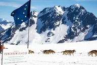 Anchorage Helicopter Glacier Dogsledding thumbnail 1