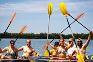 Tampa Manatee and Dolphin Kayak Tour 90 Min thumbnail 4
