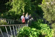San Francisco Telegraph Hill & Waterfront Tour thumbnail 2
