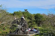 Miami Everglades Boat Tour with Transport thumbnail 2