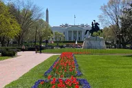 Washington DC Walking Tour of LGBTQ History thumbnail 2