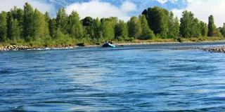 Jackson Scenic Float Trip with Teton Views 3 hr
