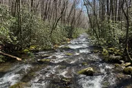 Asheville Kuwohi Mountain Tour 7 hr thumbnail 5