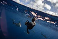 Haleiwa Ocean Adventure Dive thumbnail 5