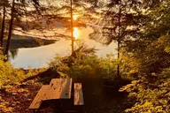 Ketchikan Rainforest, Beach & Wildlife Walk 3 hr thumbnail 6