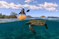 Maui Tandem Clear Kayak Rental 2 hr thumbnail 6